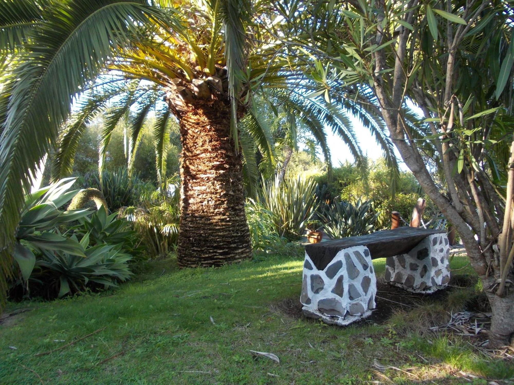 Hotel La Palma Romantica Барловенто Екстер'єр фото